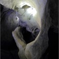 Sčítání netopýrů v jeskyních Moravského krasu