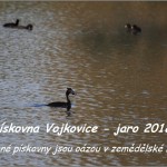 00_2018_06_11_Vojkovice-2.jpg